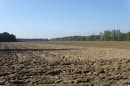 de La Motte aux Bois à Pré à Vin